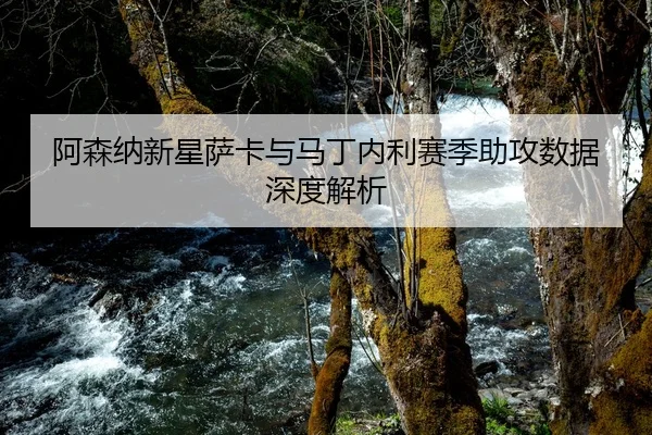 阿森纳新星萨卡与马丁内利赛季助攻数据深度解析