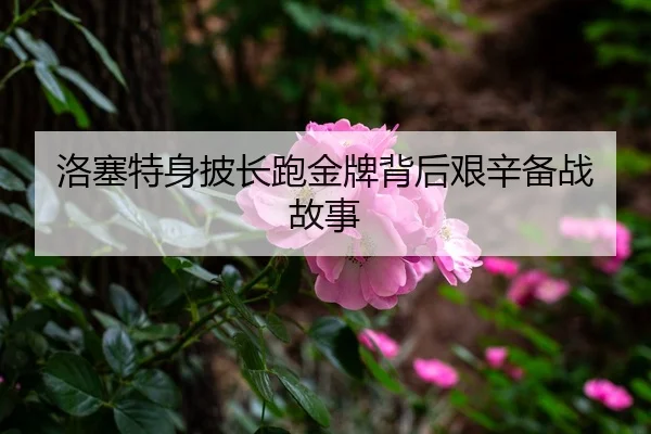 洛塞特身披长跑金牌背后艰辛备战故事